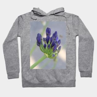 Agapanthus in the Sun Hoodie